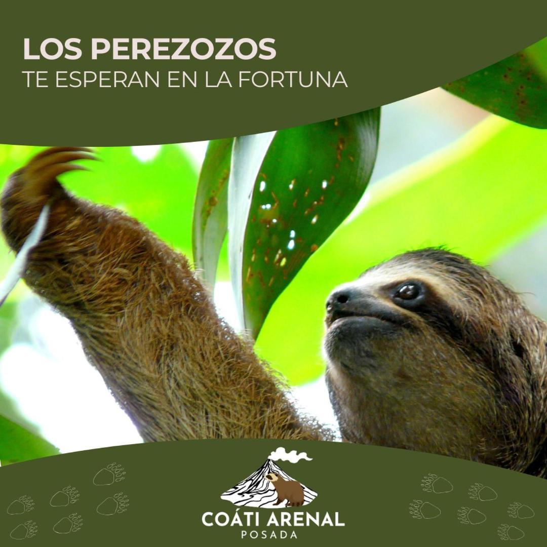 Coati Del Arenal Posada La Fortuna Exterior photo